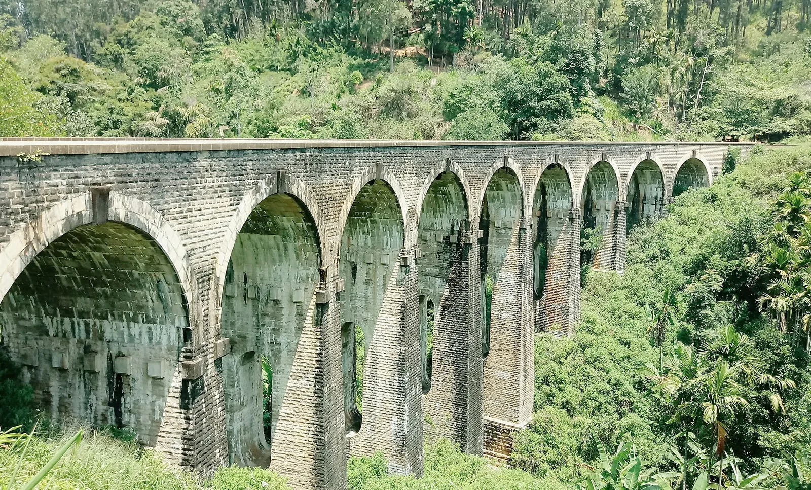 緑の茶畑と森に囲まれたエッラのナインアーチ橋(スリランカ)